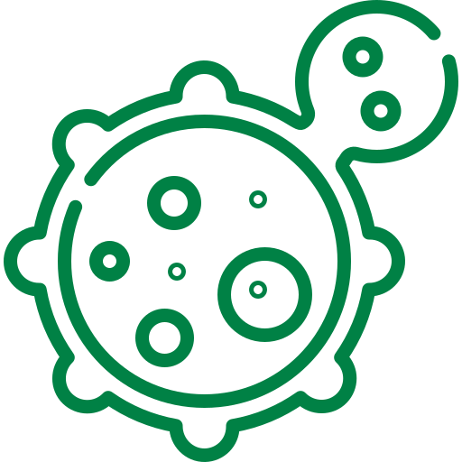 Tumor